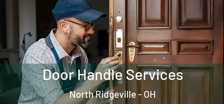 Door Handle Services North Ridgeville - OH