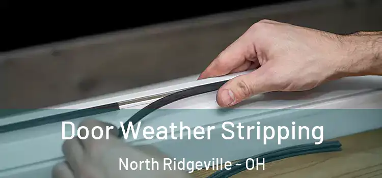  Door Weather Stripping North Ridgeville - OH