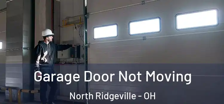  Garage Door Not Moving North Ridgeville - OH