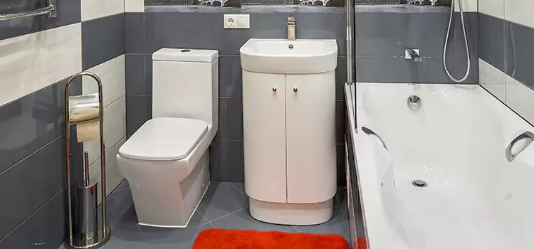 Hansgrohe Shaving Mirror North Ridgeville