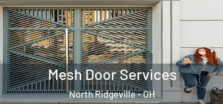 Mesh Door Services North Ridgeville - OH
