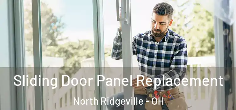  Sliding Door Panel Replacement North Ridgeville - OH